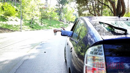 Zoochosis Presents: Save Miranda!