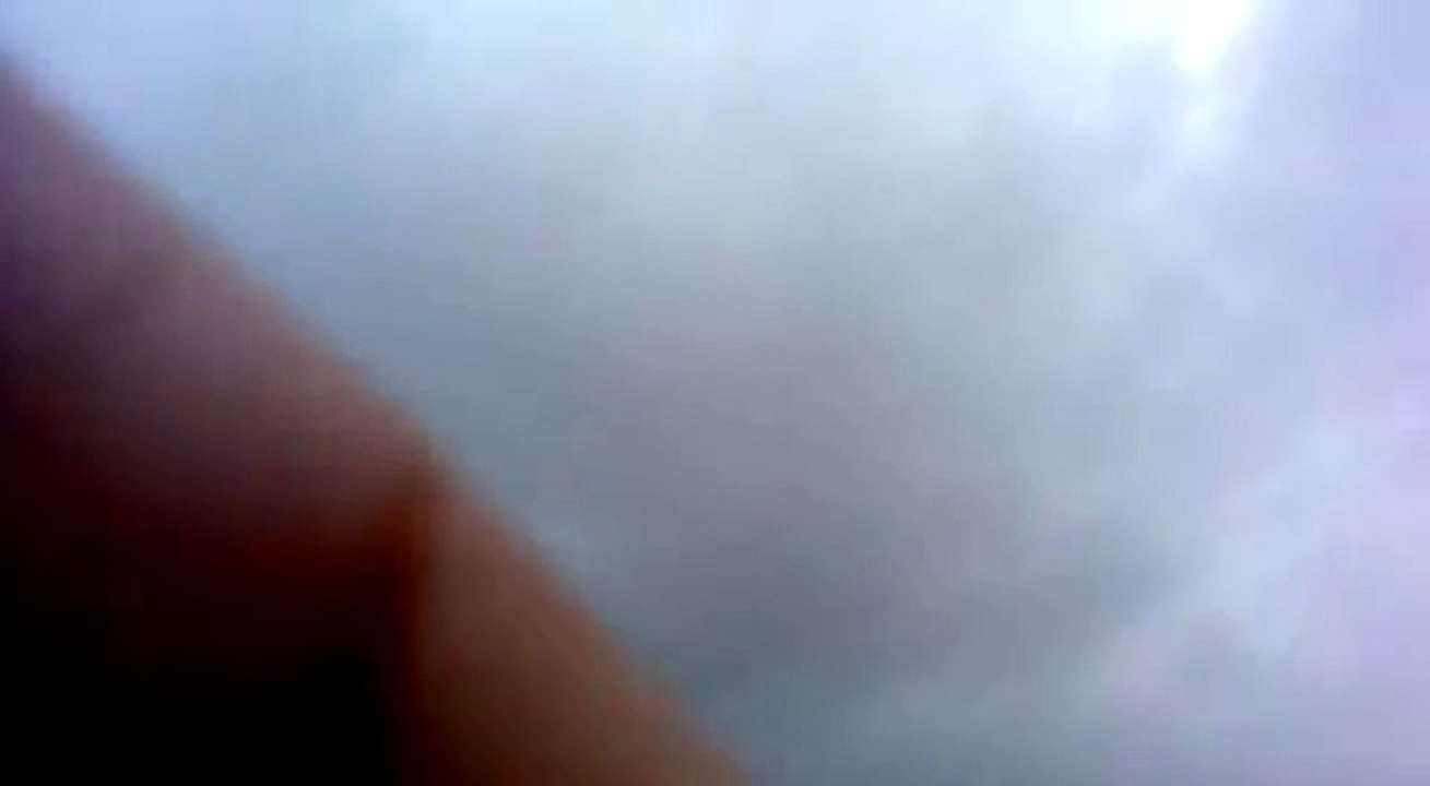 sky cutter pigeon indonesia.mp4