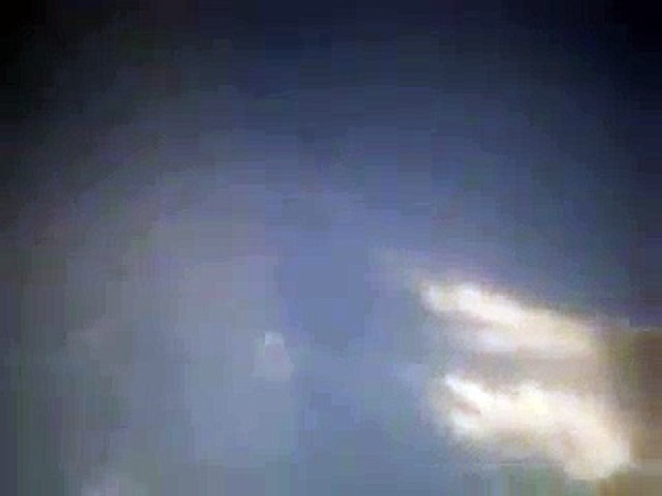 high flyer pigeon