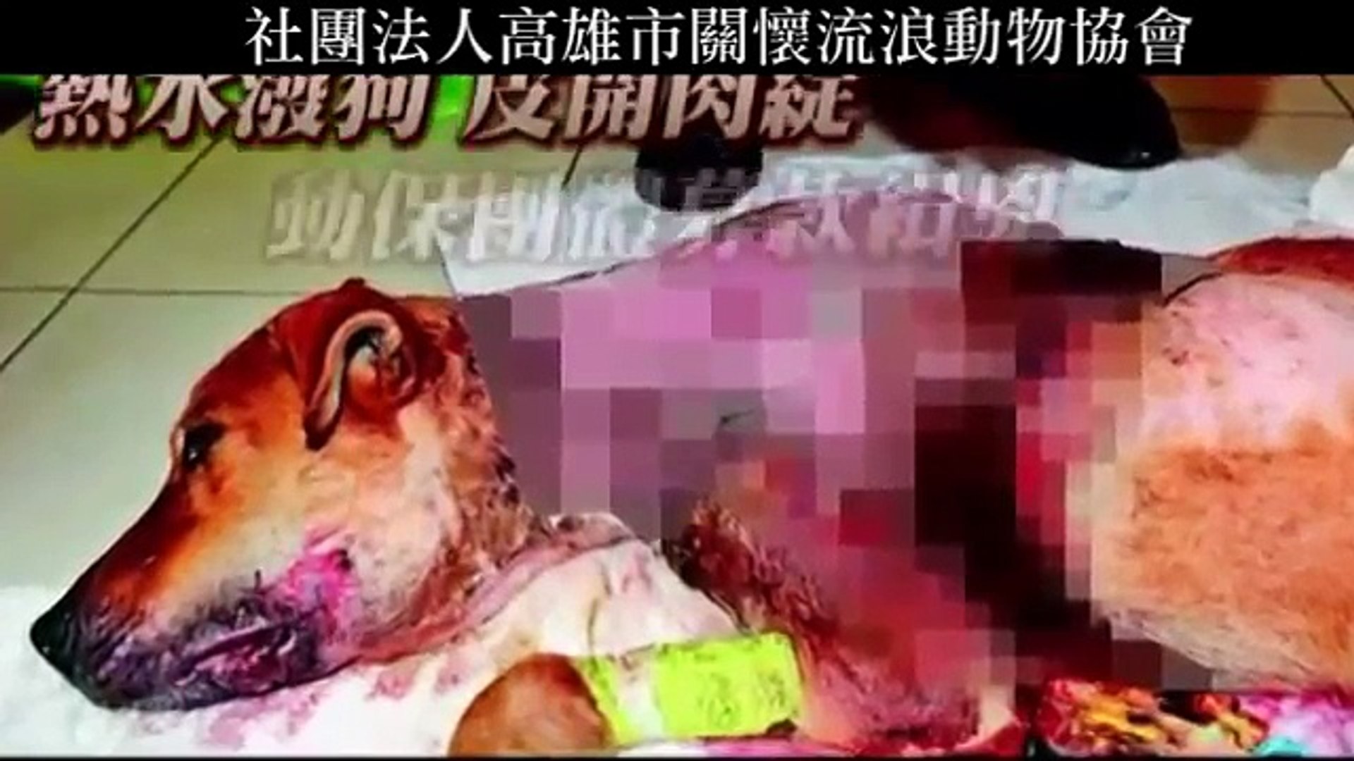 蘋果動新聞報導