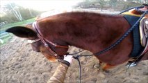 Équitation éthologique en Europe: En Selle - Soft-Feel