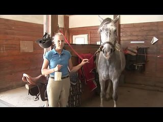 Horse Care & Riding : How to Take Care of Your Horse's Hooves