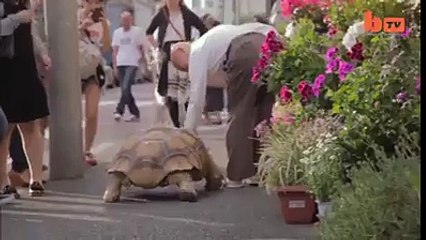 Ohhh sooo beautiful!!