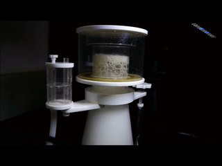 New! Skimz SV203 Oval Protein Skimmer Demo