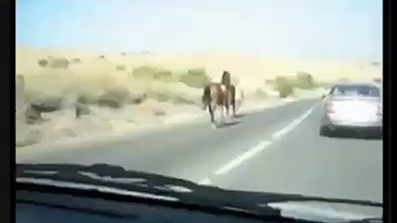 The opposite lane