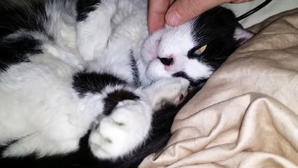 Lil Girl Sleeping With Her Eyes Open, Having A Nightmare.