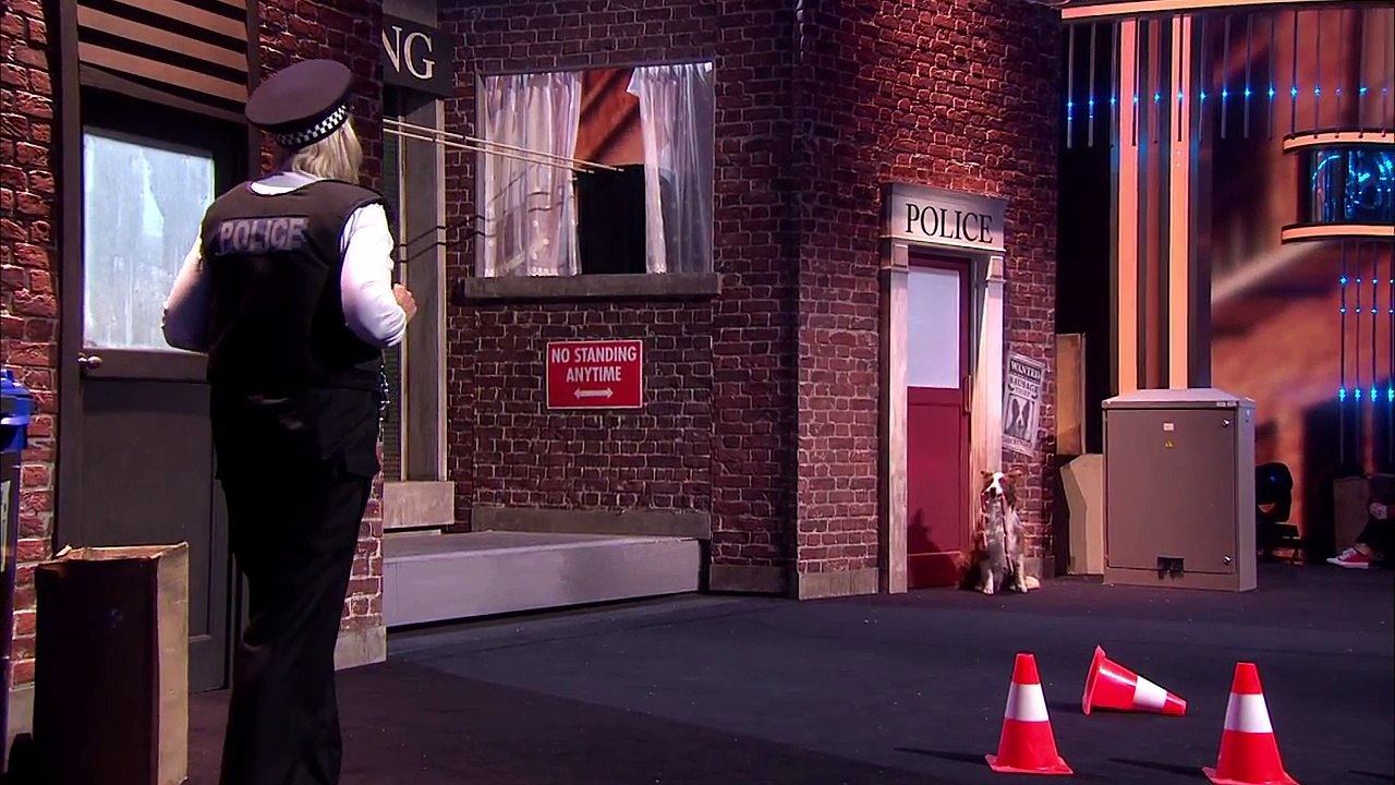 Stunt double dog on Britain's Got Talent Jules and Matisse Grand Final _ Britain's Got Talent 201