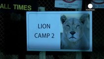 American tourist killed in lion attack at South Africa park