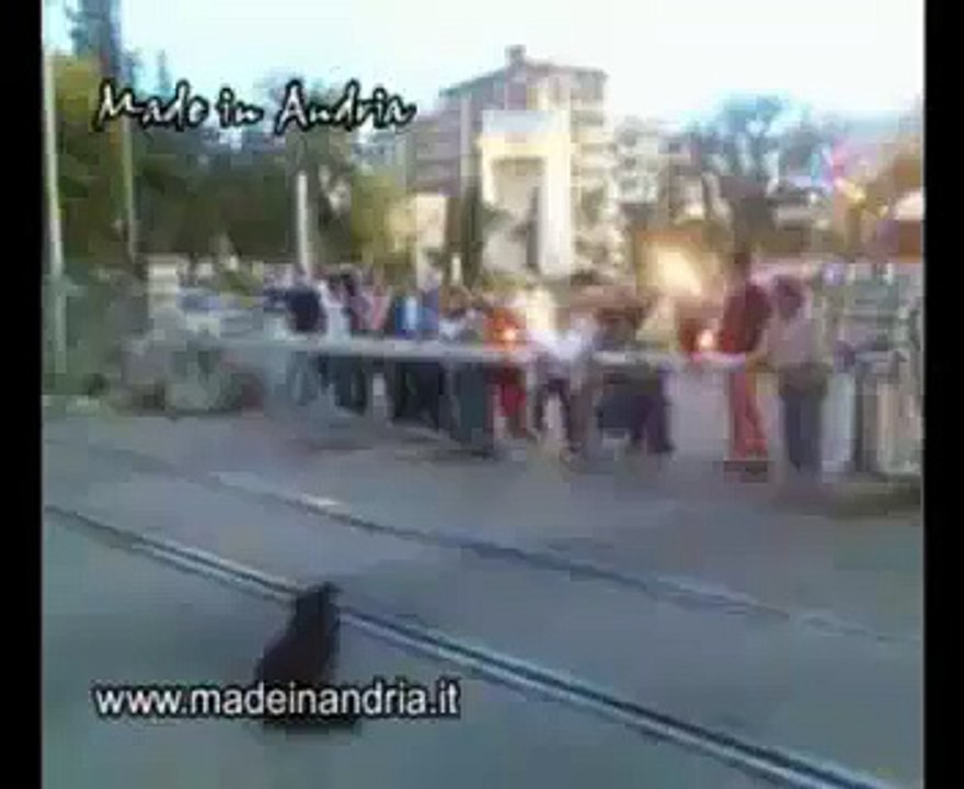 Andria, lo strano cane del passaggio a livello