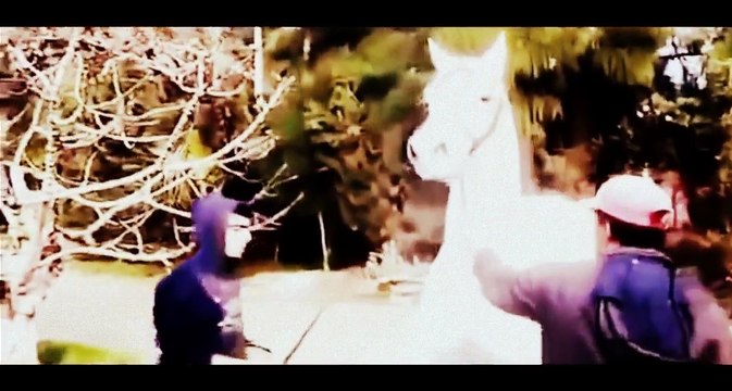 sexxyyy video 2015 nik English best funny animals compilation funny videos 2014 HD Part19