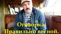 Пасека Покупаем пчел