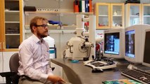 Scanning Electron Microscope SEM demo session