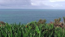 Tour of Cabo de São Vicente (Cape St. Vincent), Sagres, Algarve, Portugal