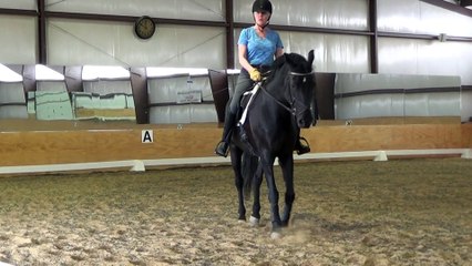 May 23, 2015, Anne Howard Clinic riding Majestic working on canter
