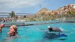 Cabo Dolphins | Trainer for a Day | Swim with Dolphins in Cabo San Lucas | Cabo Adventures