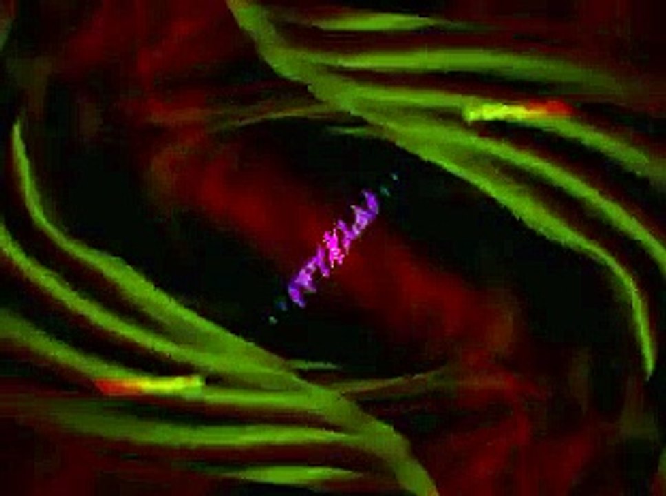 Abraham Hicks - The Art Of Allowing -  Should evidence of the Law of Attraction be documented