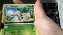 Ouverture de faux booster pokemon anglais français