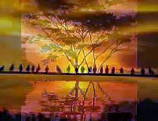 [VIDEO MIND HYPNOSIS] Soothing sunrises over water (w.calm music), free online hypnosis course