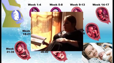 7th Month Pregnant - Week (25 - 28) Pregnancy