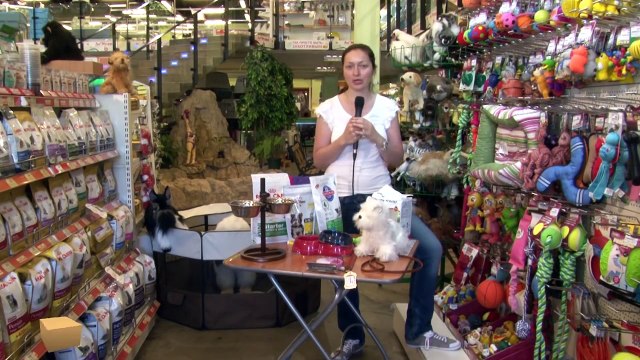 Ваш первый щенок - предметы первой необходимости