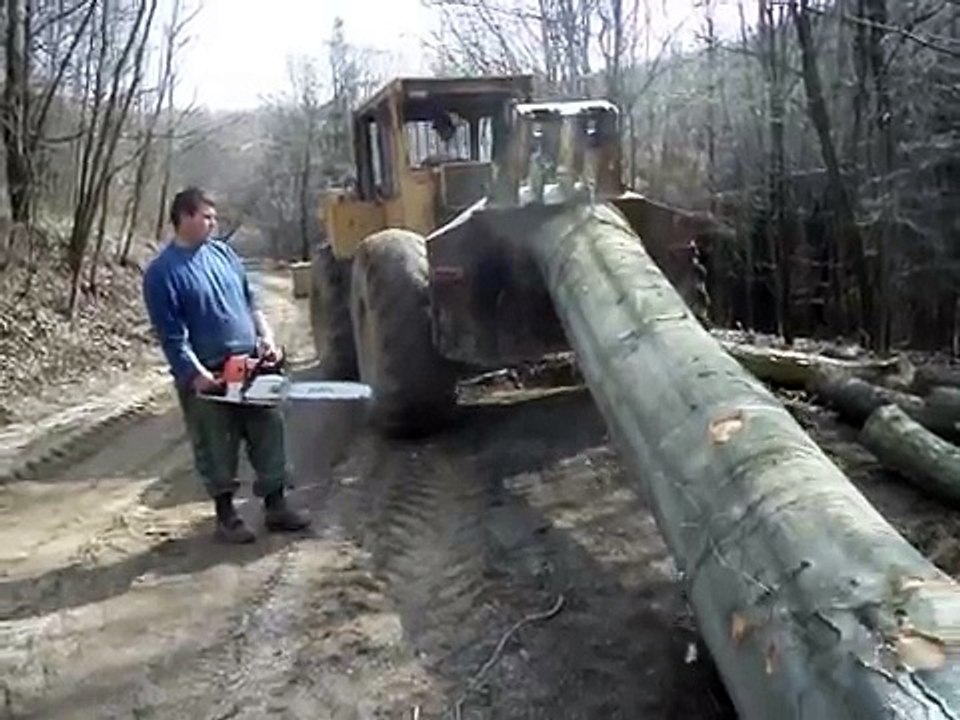 Stihl ms 650