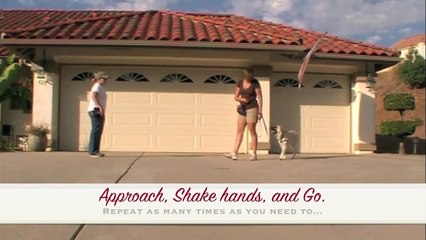 CGC-Reaction to another dog #8