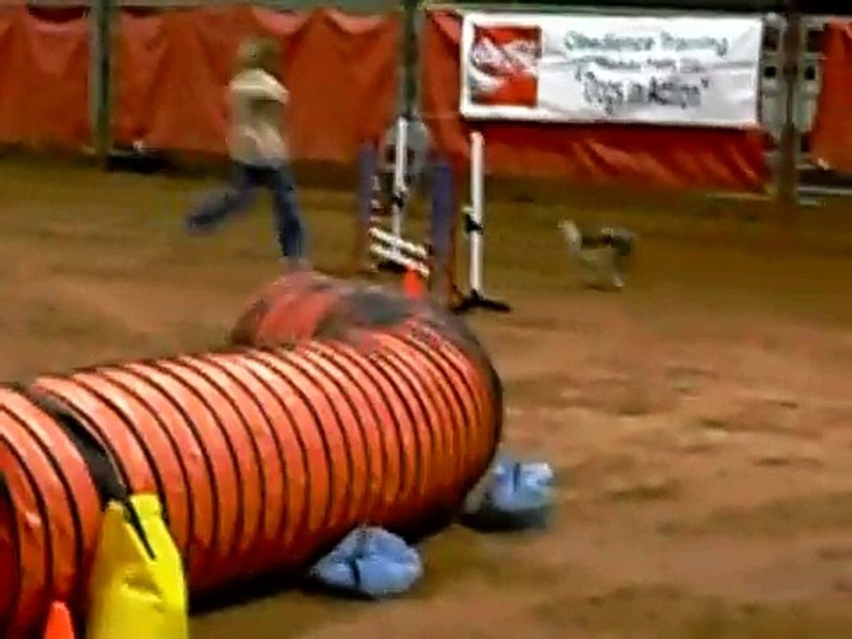 Aslan Agility: The Rest is Still Unwritten
