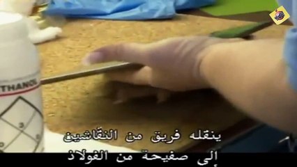 أسرار صناعة الأوراق المالية ولماذا يصعب تزويرها - وثائقى مميز