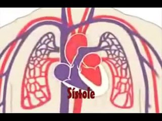 Video Aula Sistema Circulatorio