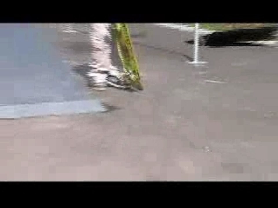 Sebz And Domi au skate n°2