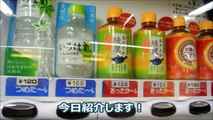 HOT Japanese Vending Machines: Hot Ginger Ale!! ホット飲み物自販機好きー♥