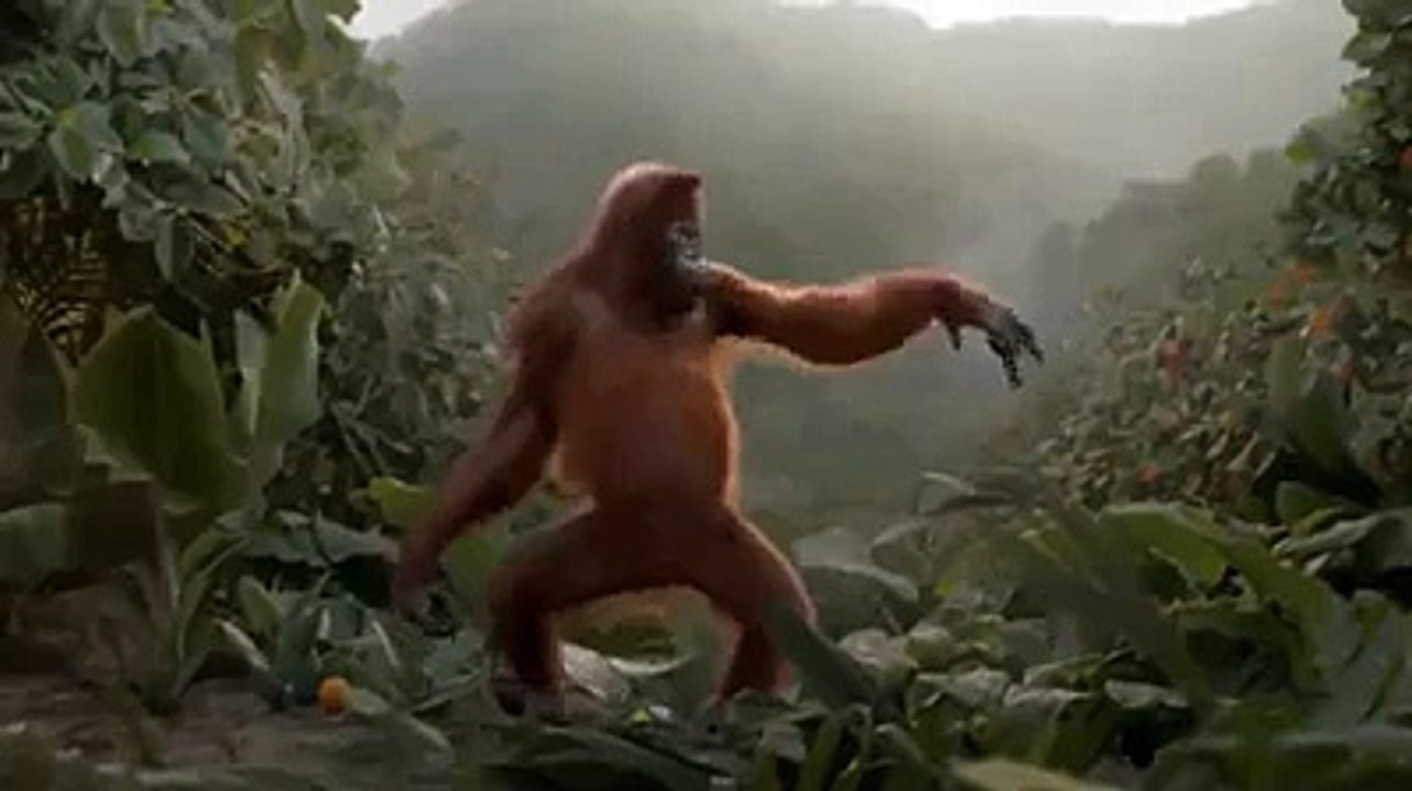 yo yo honey singh 2015 new style verry funny vedio song 2015 - Video Dailymotion