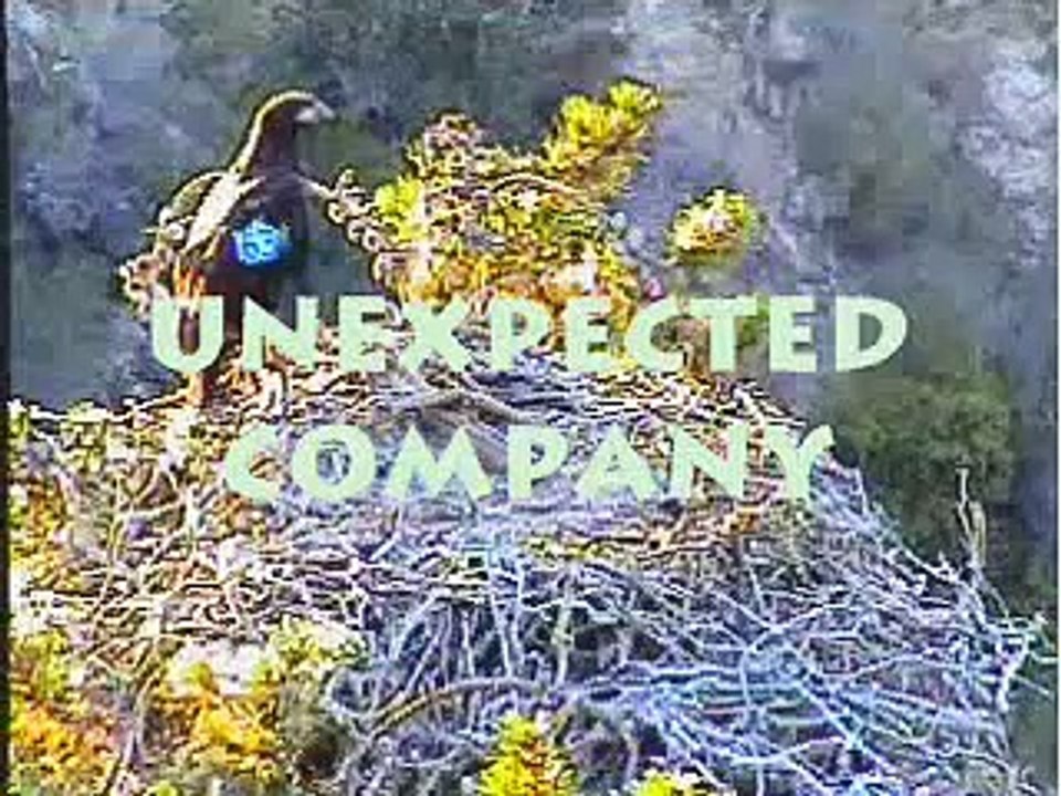Unexpected Company