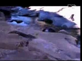 American head charge - just so you know