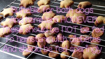 DIY Hamster/Dog treats