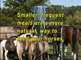 Feed Smart Automatic Horse Feeders - Nordheim Farm, La Grange Tx. Bought Second Feeder