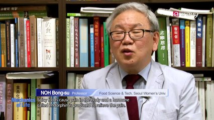 Spicy food maniac visiting a brainwave research lab