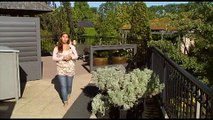 Video verschillende soorten bestrating voor in de tuin-Tuinen.nl