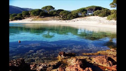 I MUVRINI A TE CORSICA