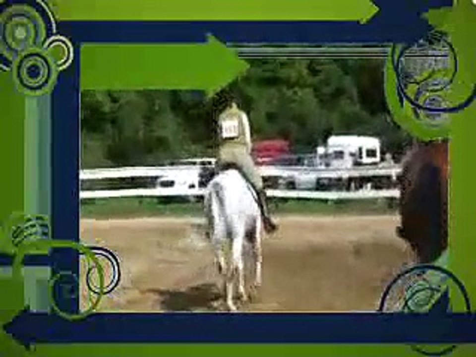 Lewis Road Fun Show 2007-Bridlewood Stables