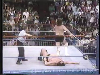 WWF Prime Time Wrestling