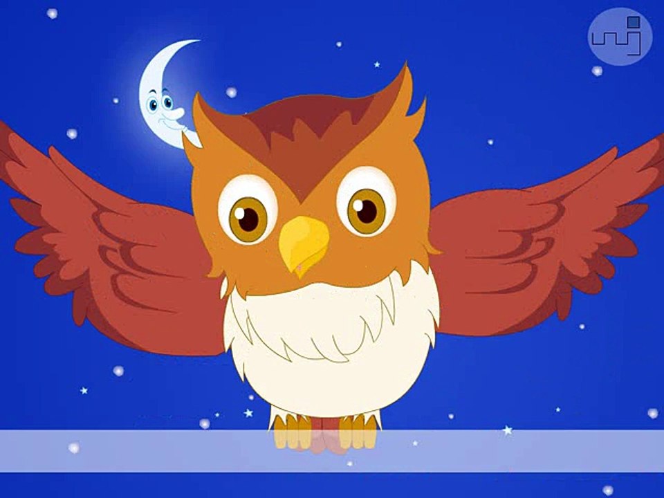 Wise old owl