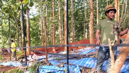 ECOSFIX - dispositif expérimental au LAOS