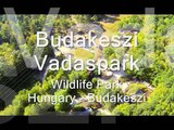 Only cute animals - Budakeszi Wildlife Park - Hungary