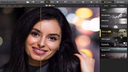 Presets panel: Noiseless Tutorial