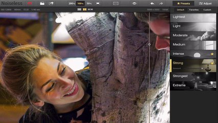 Standard version of Noiseless Presets (Tutorial)