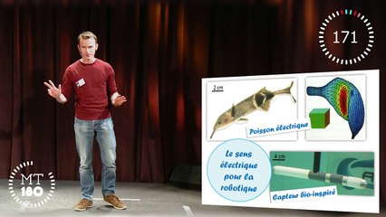 Sylvain LANNEAU - Finale régionale - édition 2015