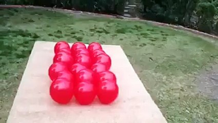 Crazy balloon detonates dog