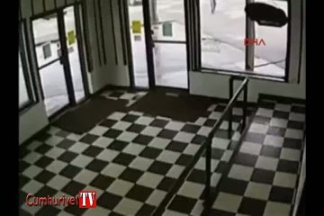 Cep telefonuna dalınca yılana bastı ve işte böyle ısırıldı