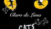 Claro de Luna - Cats ( Cover Memory - Cats)